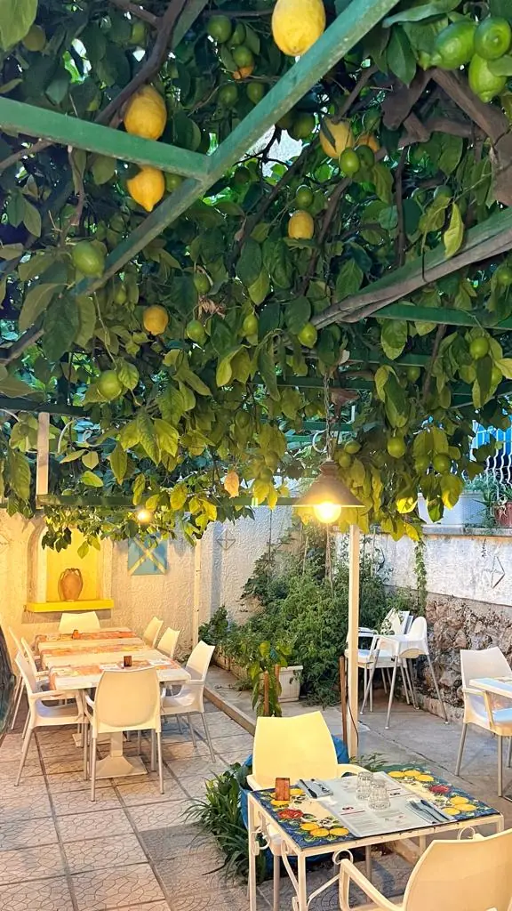 ristorante pineta maiori ristorante pineta maiori